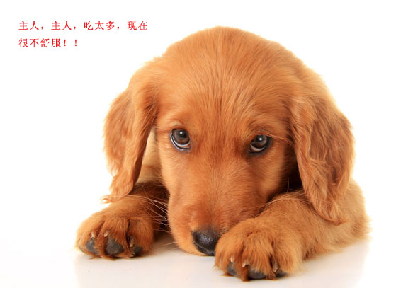 请别忽视！喂